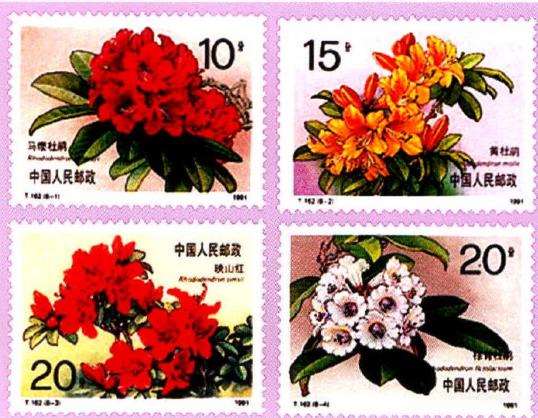 中国花卉邮票有哪些 图片