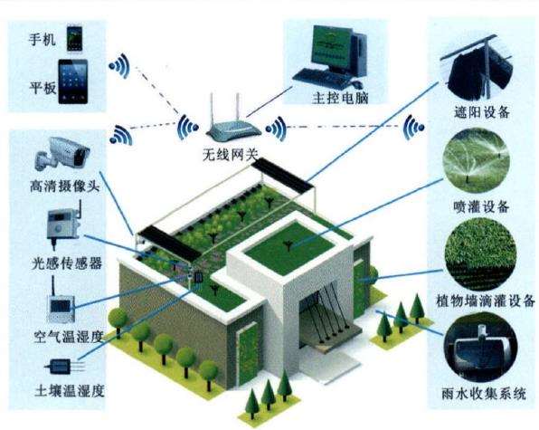 新兴城市怎么立体绿化的4个方法 图片