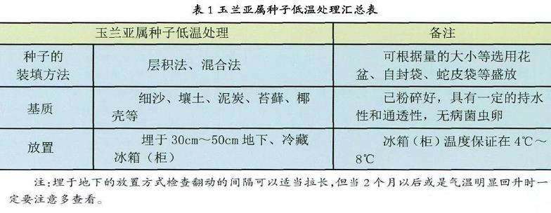 玉兰种子怎么低温处理的4个步骤