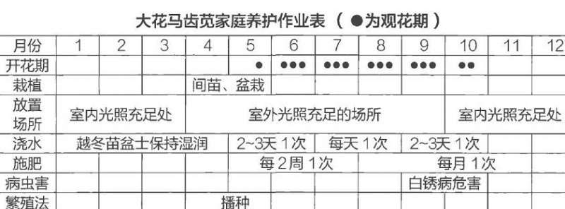 盆栽大花马齿苋怎么浇水施肥的3个方法