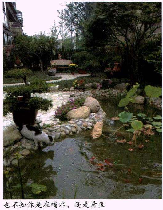 这个花园是2014年底建成的 图片