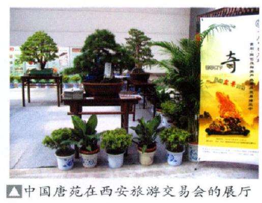陕西省最大的盆景博览园