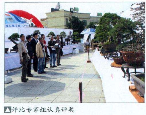 2010年浙江省第六届盆景展览会
