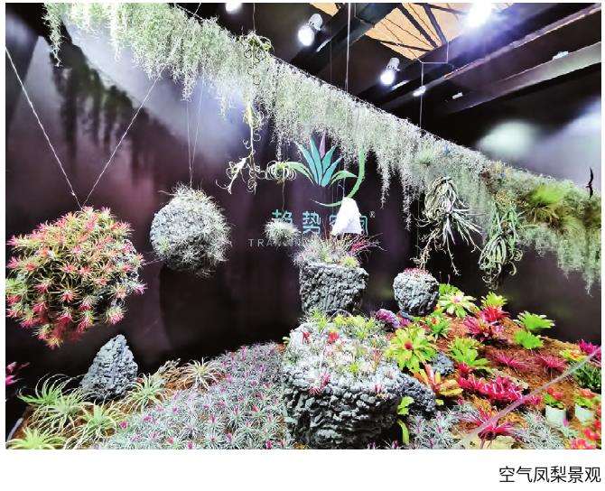 第23届中国花卉园艺展览会在上海举办