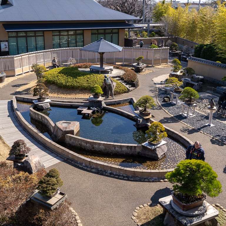 大宫盆景博物馆花园的亮点 图片
