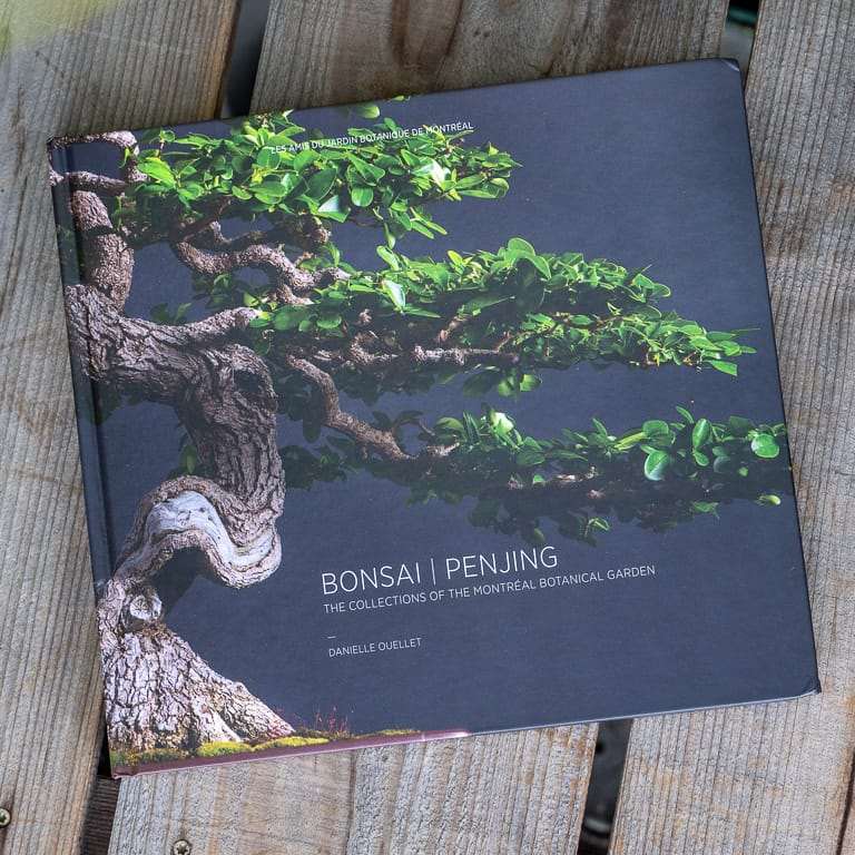 盆景新书《bonsai penjing》出版 图片
