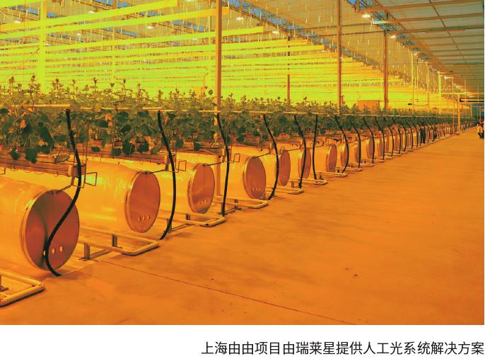 设施花卉的装备和资材有哪些