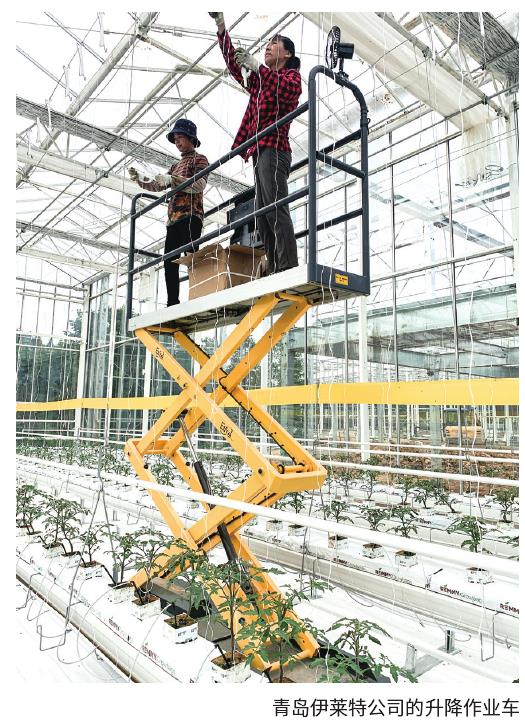 花卉温室资材已形成国产化体系 图片