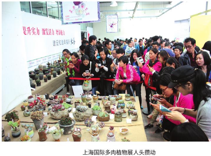 上海过去相对发达的花卉产业与应用