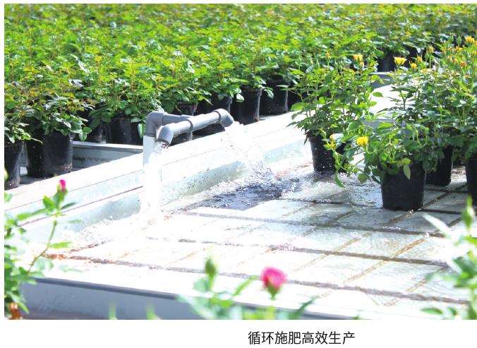 为什么花卉产销信息不对称