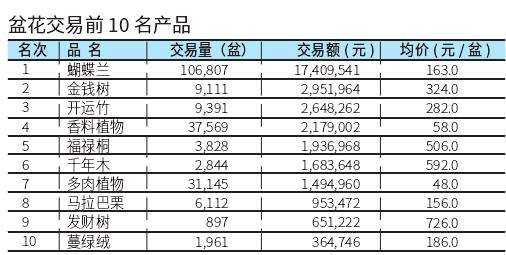 2021年7月 台北花卉市场盆花行情