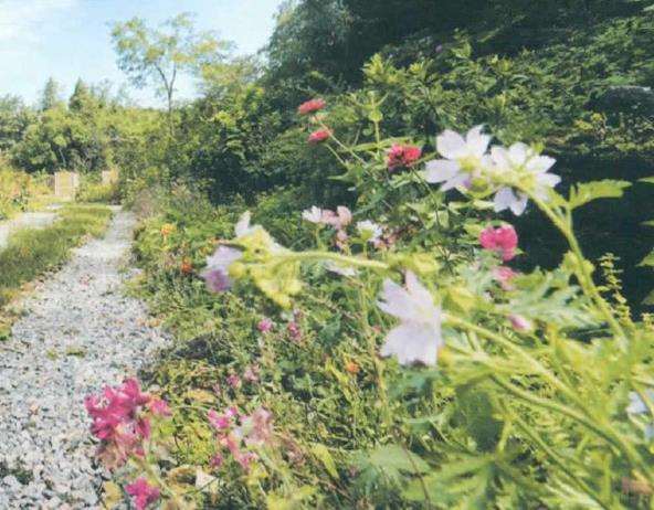 大山里的溪上人家花园 图片