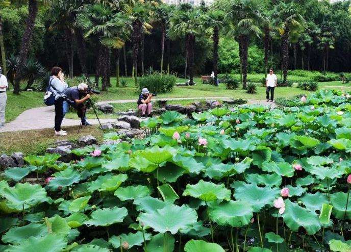 2020年 上海植物园改扩建工程获批