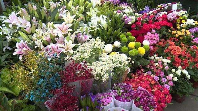 销售花卉怎么用短视频增加粉丝