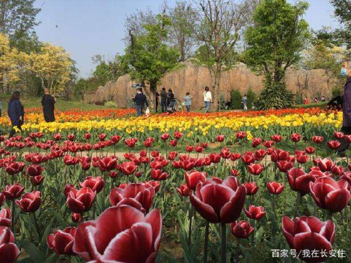 1984 陕西省西安植物园正式对外开放