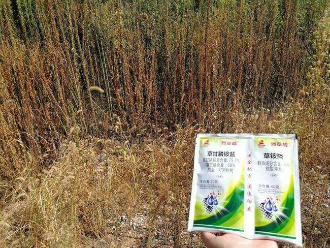 影响园林除草剂使用效果的9个因素