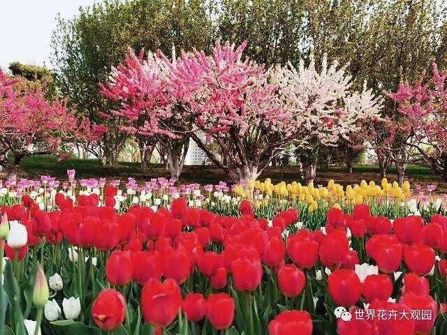 世界花卉大观园地处北京丰台区南四环路北侧