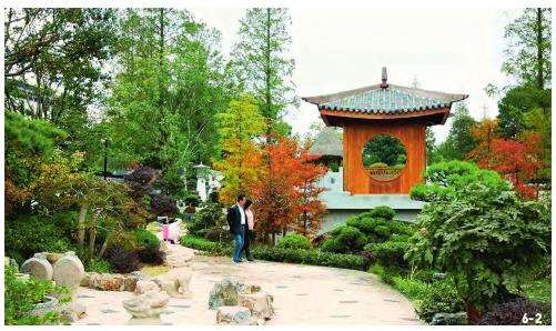 上海植物园盆景园的6个总体布局