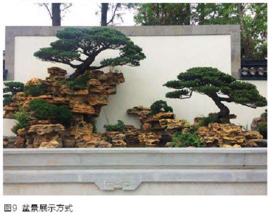 上海盆景园怎么展示规划的5个步骤