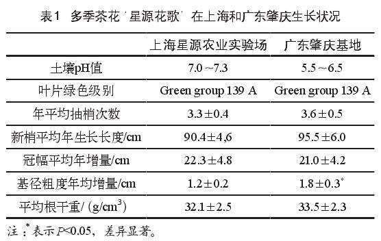 上海多季茶花对土壤ph适应性 图片
