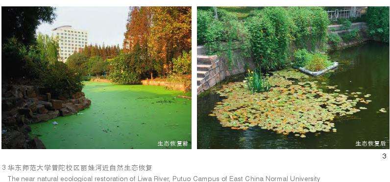 城市生态建设途径 基于自然的上海解决方案实践
