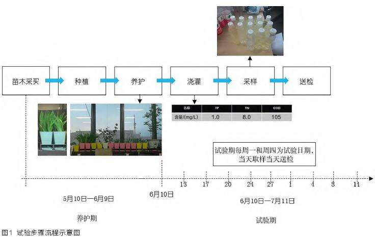 华北陆生园林植物去除道路径流污染物的实证研究