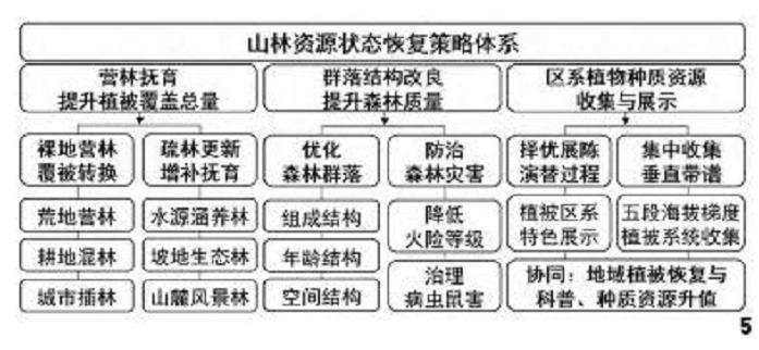 成都市东进区域自然系统整体怎么修复实践