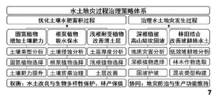 成都市东进区域自然系统整体怎么修复实践