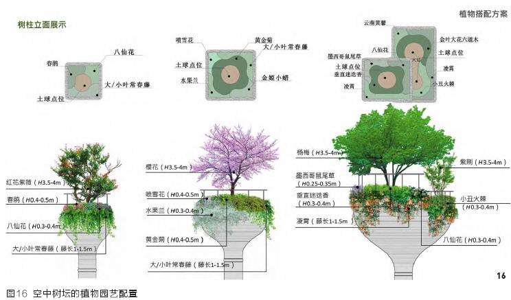 天安千树怎么立体绿化的6个步骤 图片