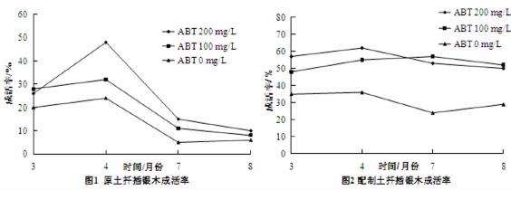 不同处理模式对银木扦插成活率的3个影响