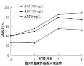 不同处理模式对银木扦插成活率的3个影响