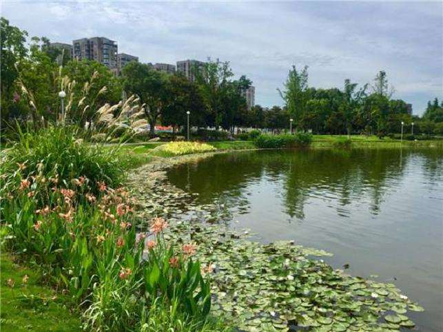 宁波市城市园林怎么绿化管理的3个经验