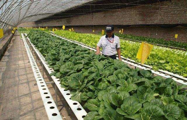 形式美法则在居住区植物季相中的运用