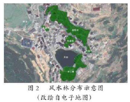 临安指南村风水林的3个保护应用