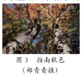 临安指南村风水林的3个保护应用