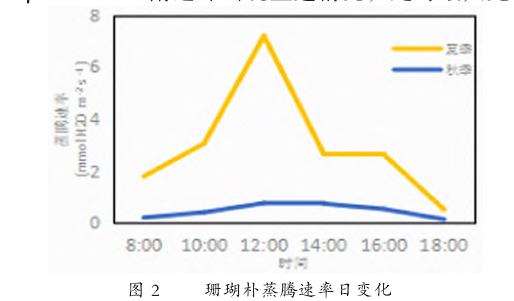 珊瑚朴光合特性及4个固碳释氧效应