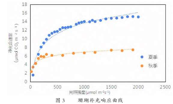 珊瑚朴光合特性及4个固碳释氧效应