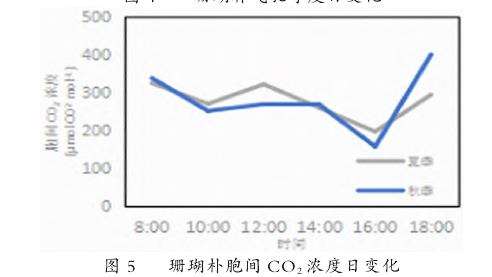 珊瑚朴光合特性及4个固碳释氧效应