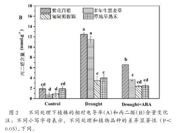 外源ABA对干旱胁迫下4种园林地被植物形态的影响