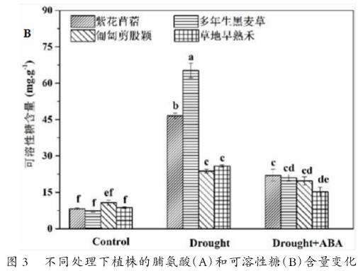 外源ABA对干旱胁迫下4种园林地被植物形态的影响