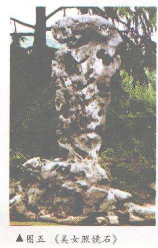 太湖石在江南园林中尽管很多的6个原因6