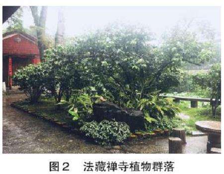桂林市寺庙园林植物的3个应用探究