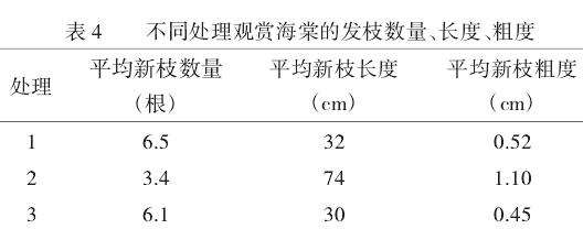 不同修剪方式对观赏海棠树势的5个影响