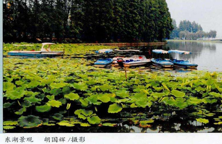2022 武汉举办第14届湿地公约大会