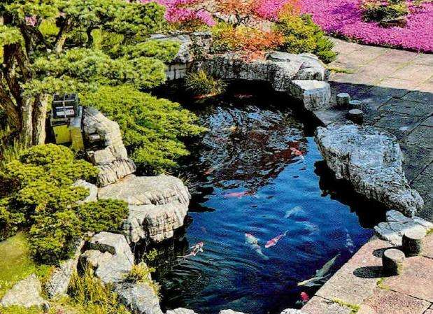 中国的布查特花园 紫藤 图片