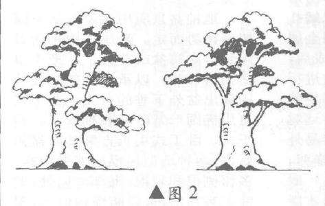 树桩盆景怎么展叶隐枝法的应用