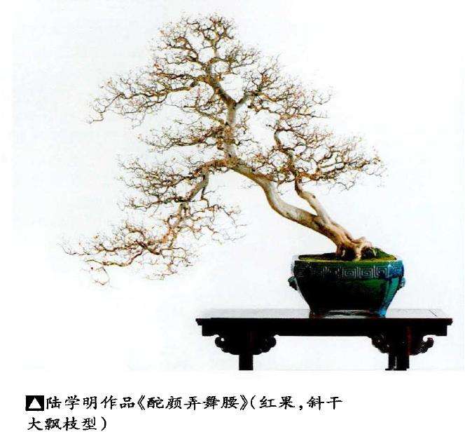 岭南盆景怎么因树造型的3个方法 图片