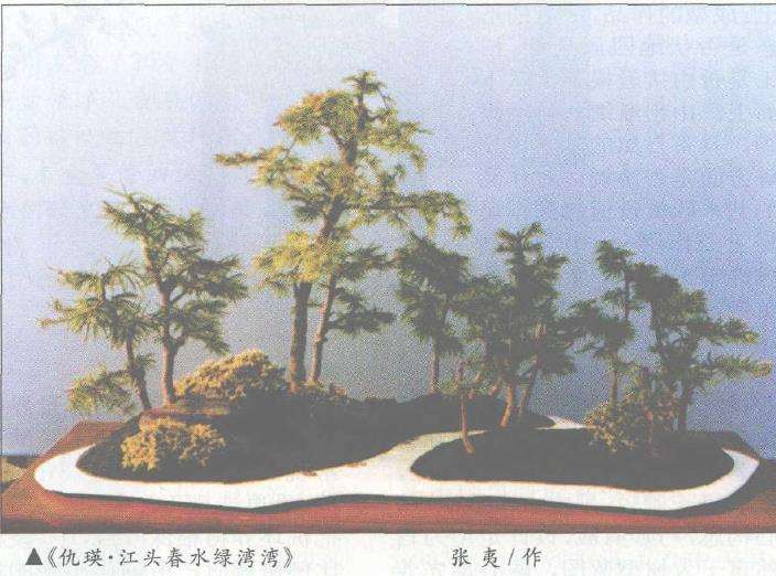 2000年 江阴乡镇盆景博物馆开馆典礼