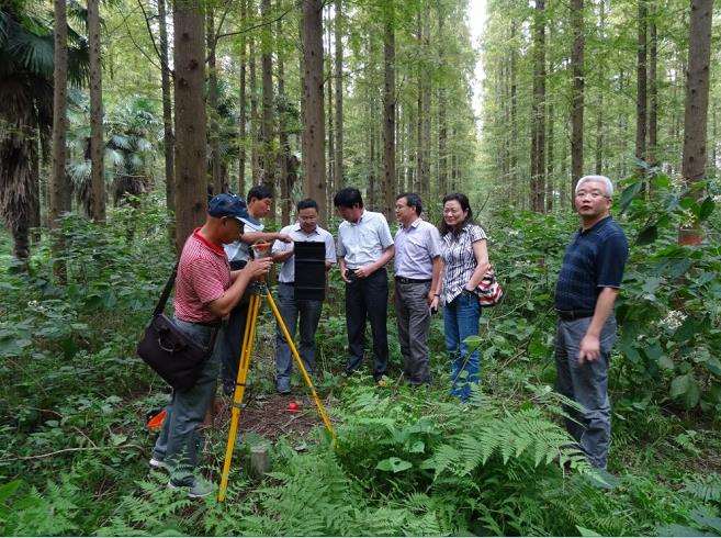 加强林业技术在森林防火中的3个应用对策