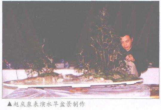 2002 陕西首届盆景艺术全国邀请展